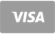 Visa debit and credit card payment